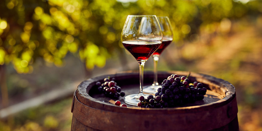 Exploring South Africa’s beautiful winelands