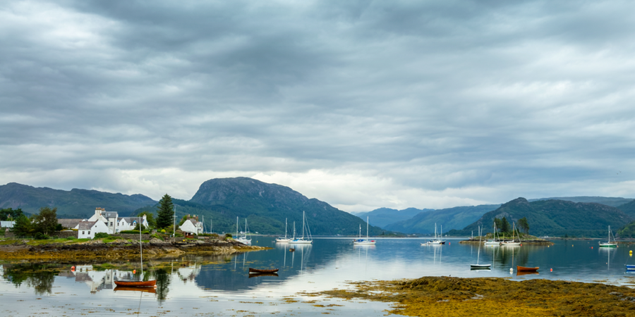 Embarking on a seal-watching boat trip