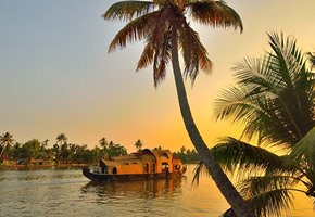 Review of the Year 2024