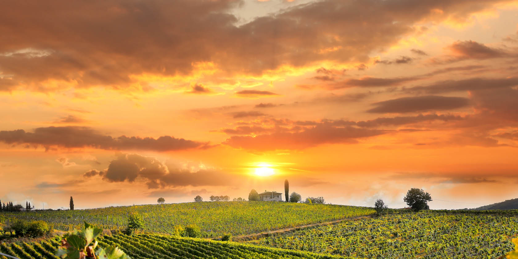 Embracing abundant autumn