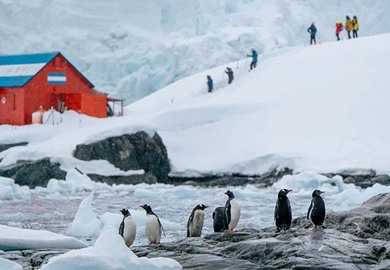Unforgettable expeditions and activities 