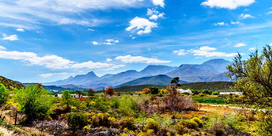 Staying at a unique lodge in Oudtshoorn